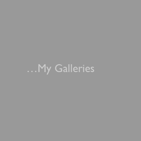 My Galleries