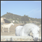 Three white horses on a pasture and in the foreground a typical mallorquin stonewalll Cala Ratjada, Mallorca, ESP